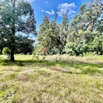 Terreno en venta en Punta Ballena 