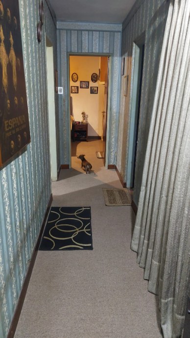 image 24