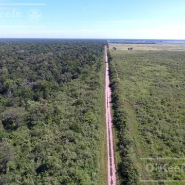 Campo en venta 46.000 Has Agrícola Ganadero y Forestal. Gran Unidad de campo para desarrollar!