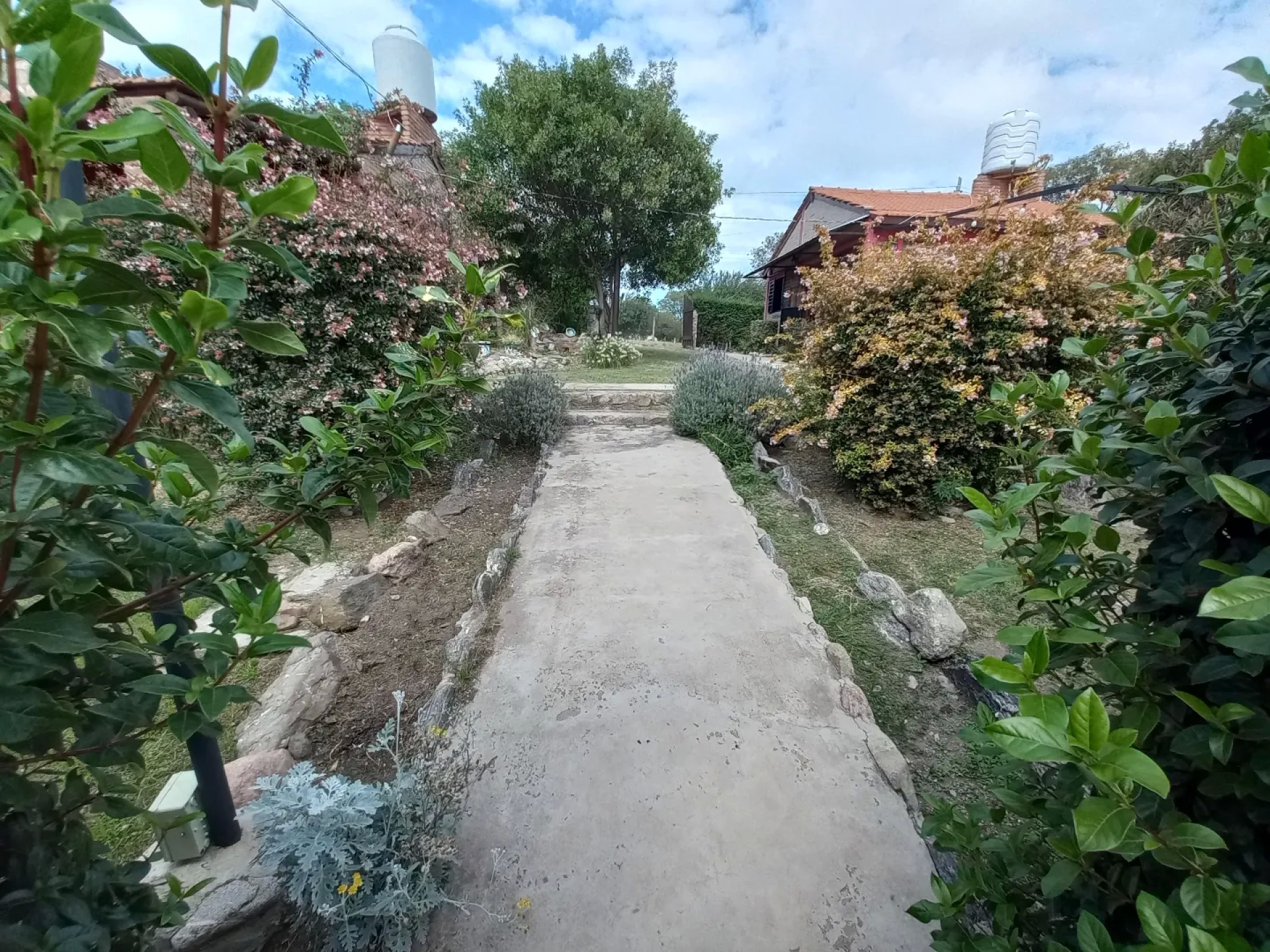 image 23