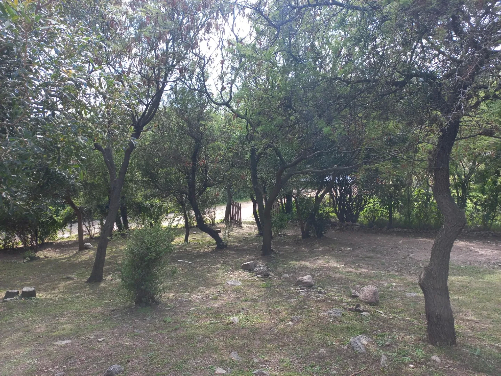 image 32