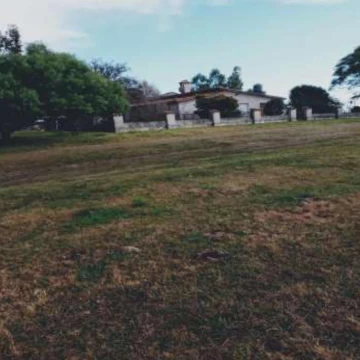 Campo agricola Carmelo Colonia