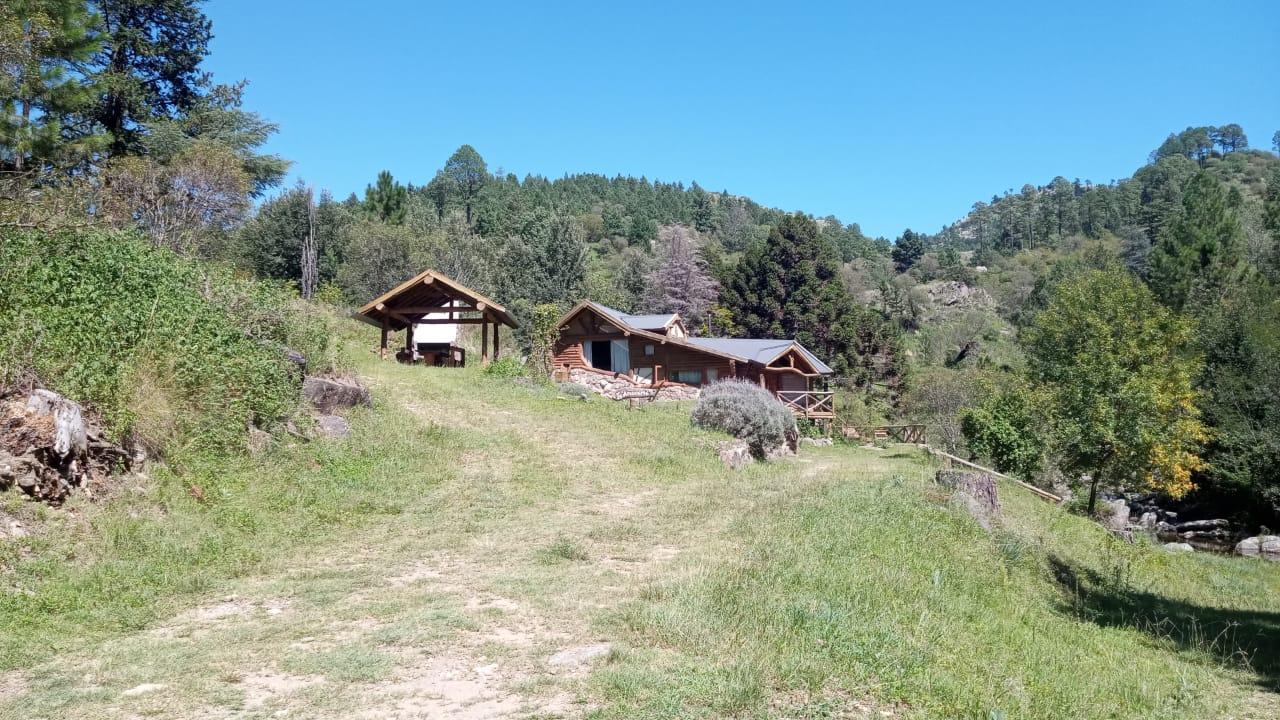 image 21