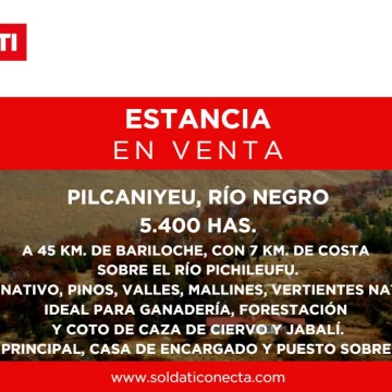 Campo de 5400 ha en Venta - Dina Huapi - Rio Negro