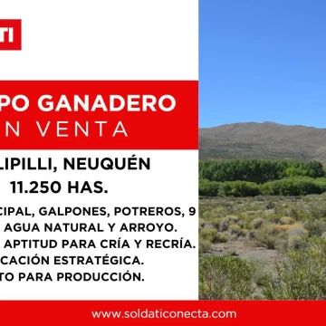 Campo de 11250 ha en Venta - Colipilli - Neuquen