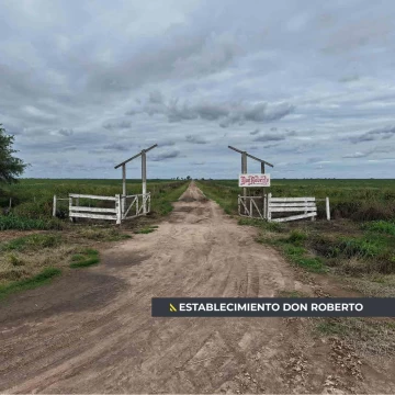 Campo Agrícola en Guardia Escolta, Departamento Belgrano.