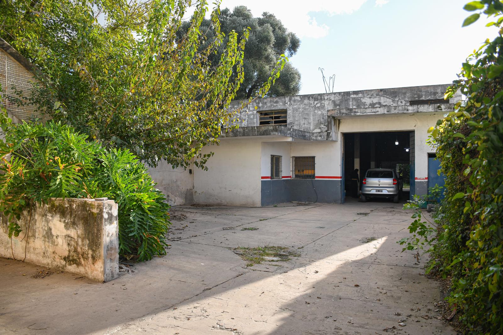 image 19