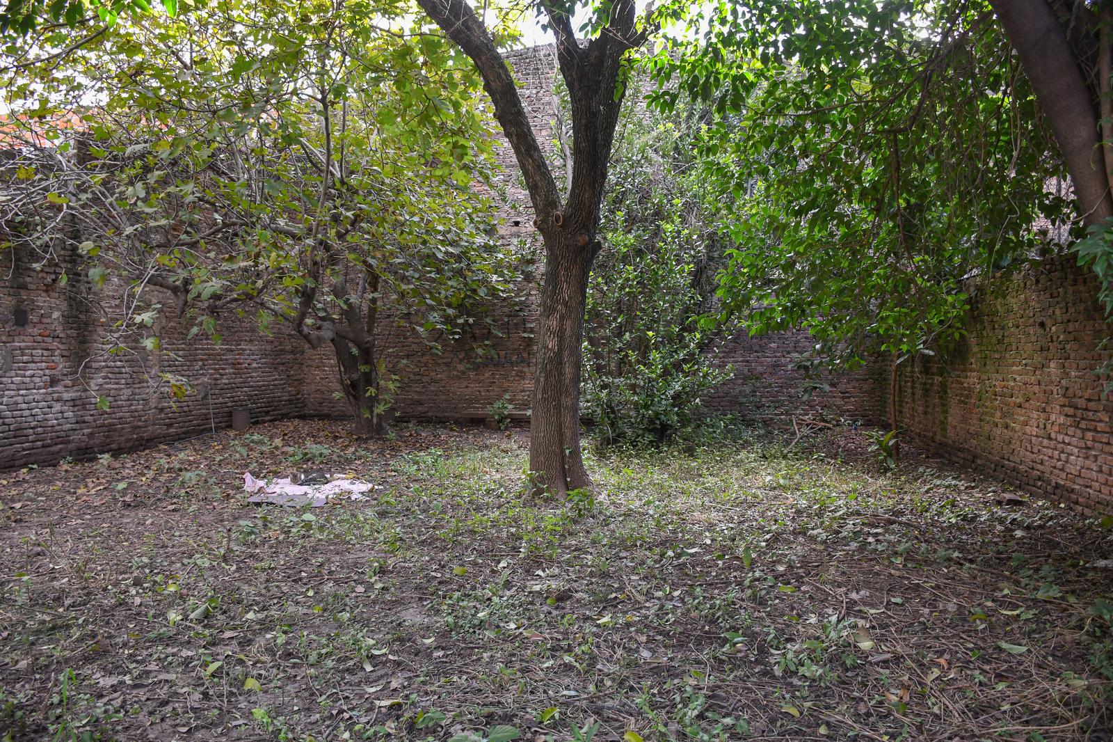 image 22