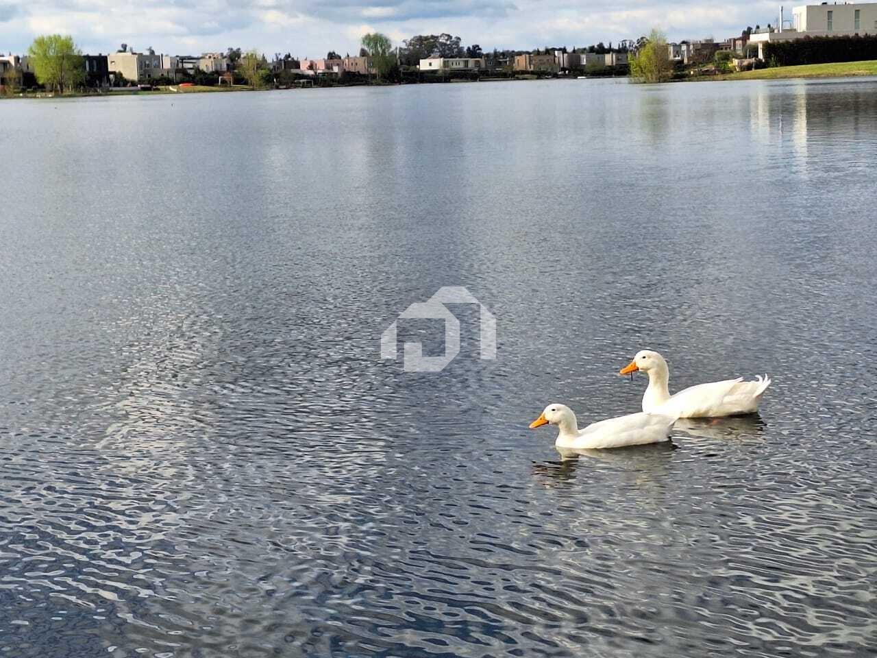 image 30