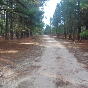 Terreno en venta en Balneario Zagarzazú Carmelo