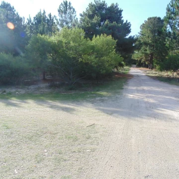 Terreno arbolado en venta en Balneario Zagarzazú Carmelo