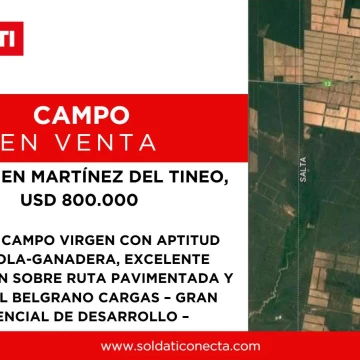 Campo en Desarrollo - 1486 ha - Oran - salta