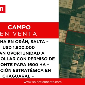 Campo en Salta - 2800 ha con permiso de desmonte