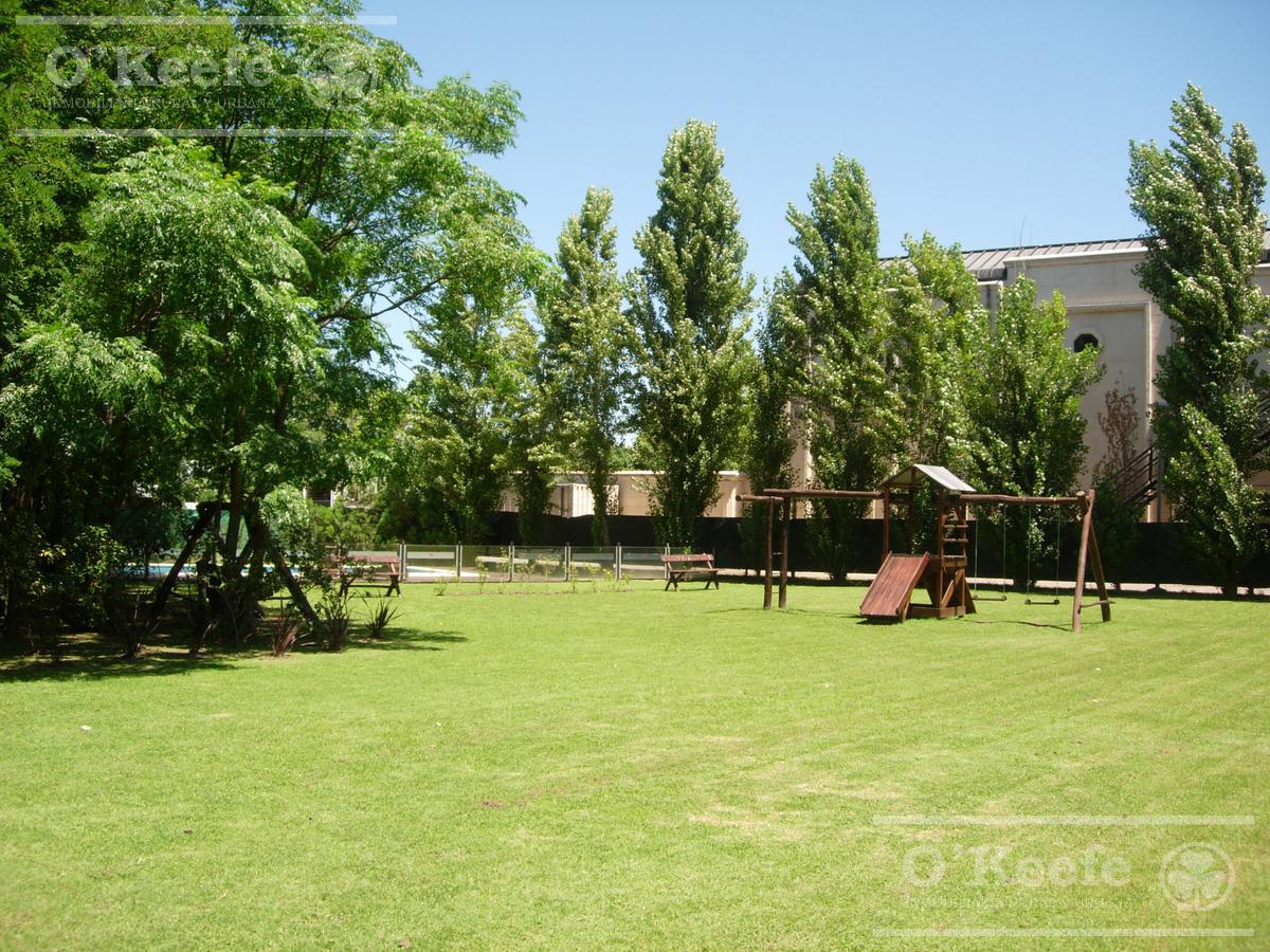 image 38