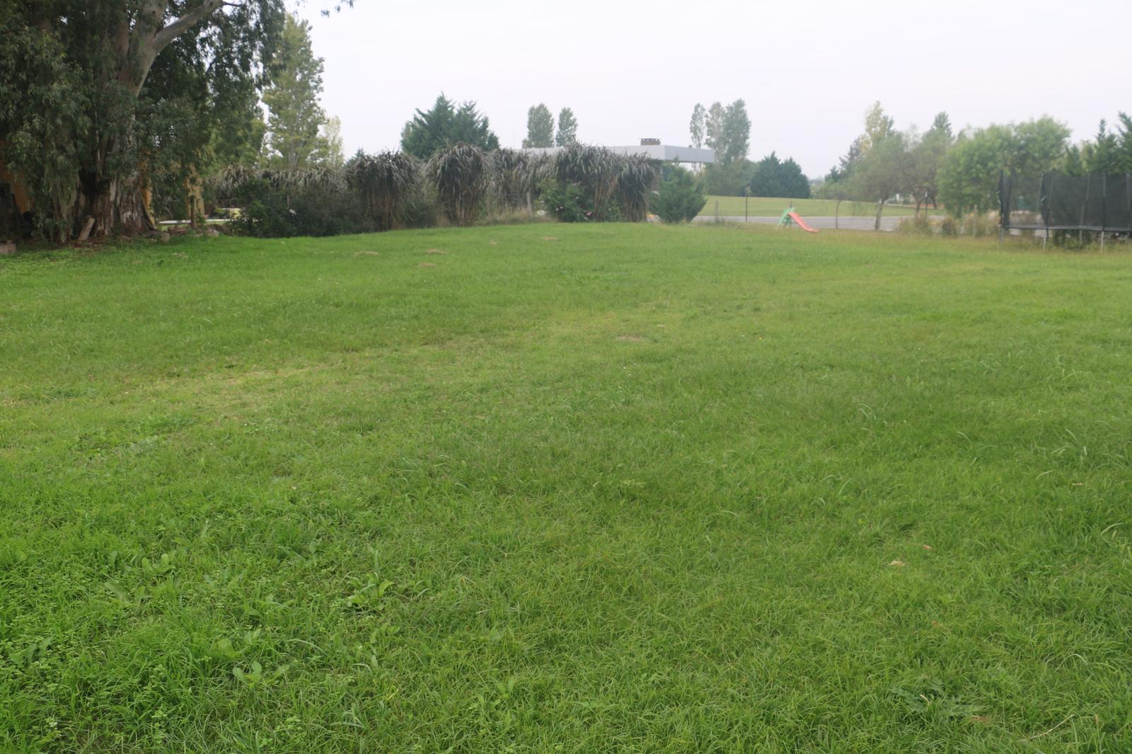 image 24