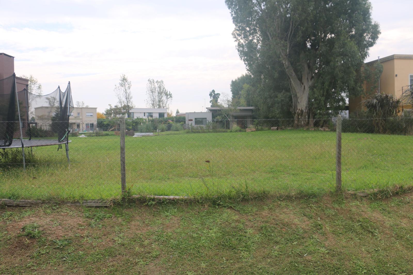 image 30