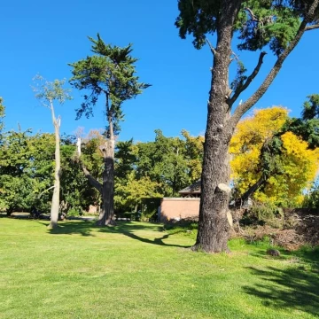 Terreno en  Benavidez