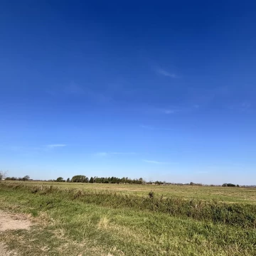 1746731560.jpg