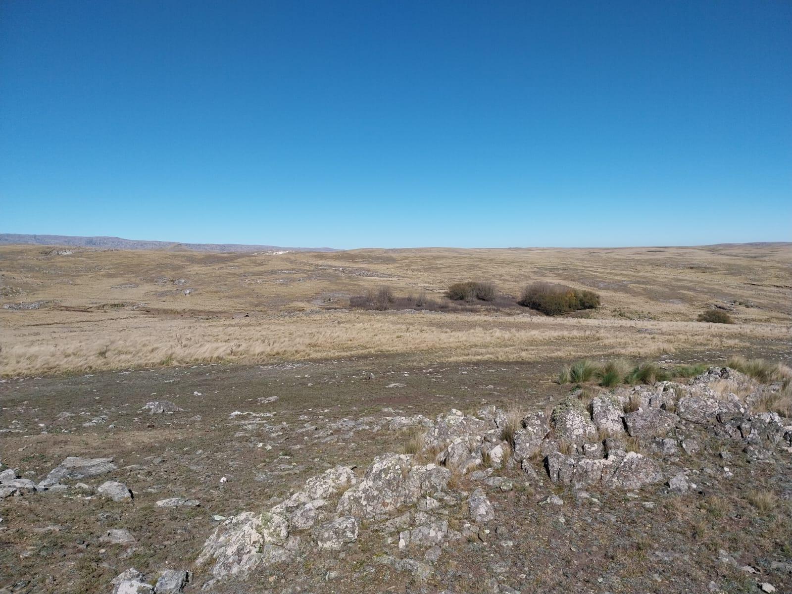 image 33