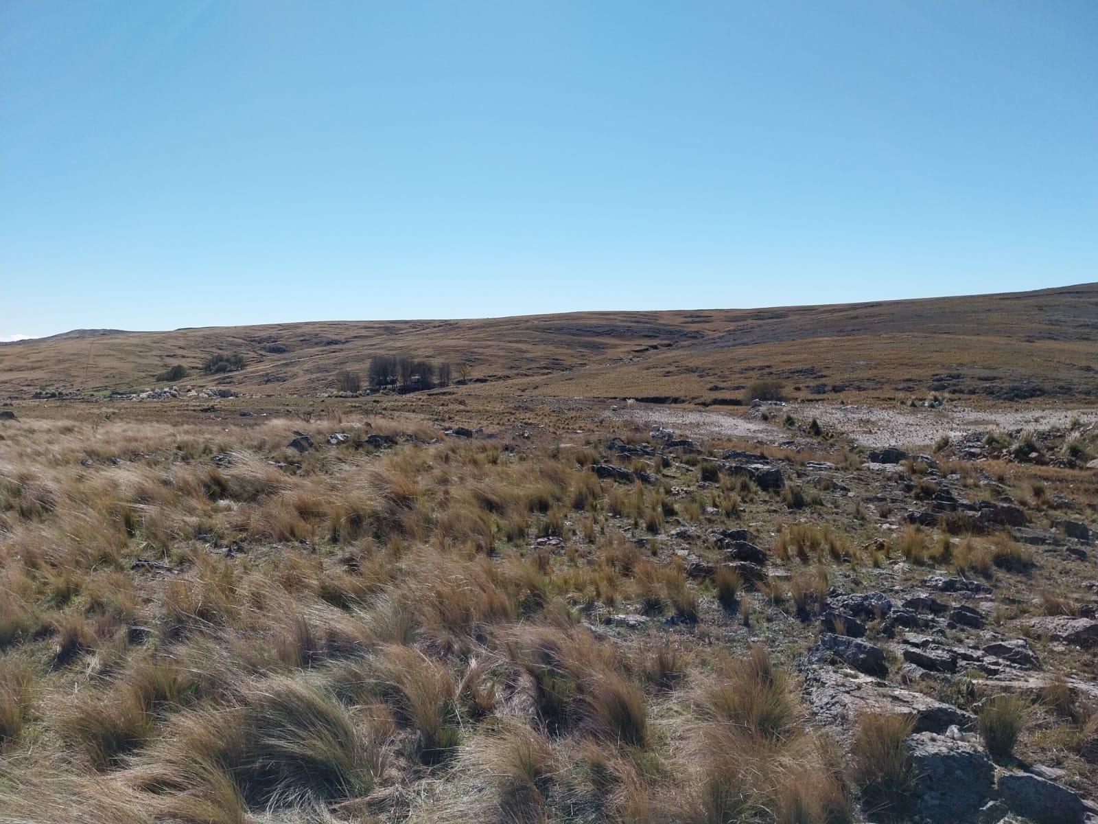 image 36