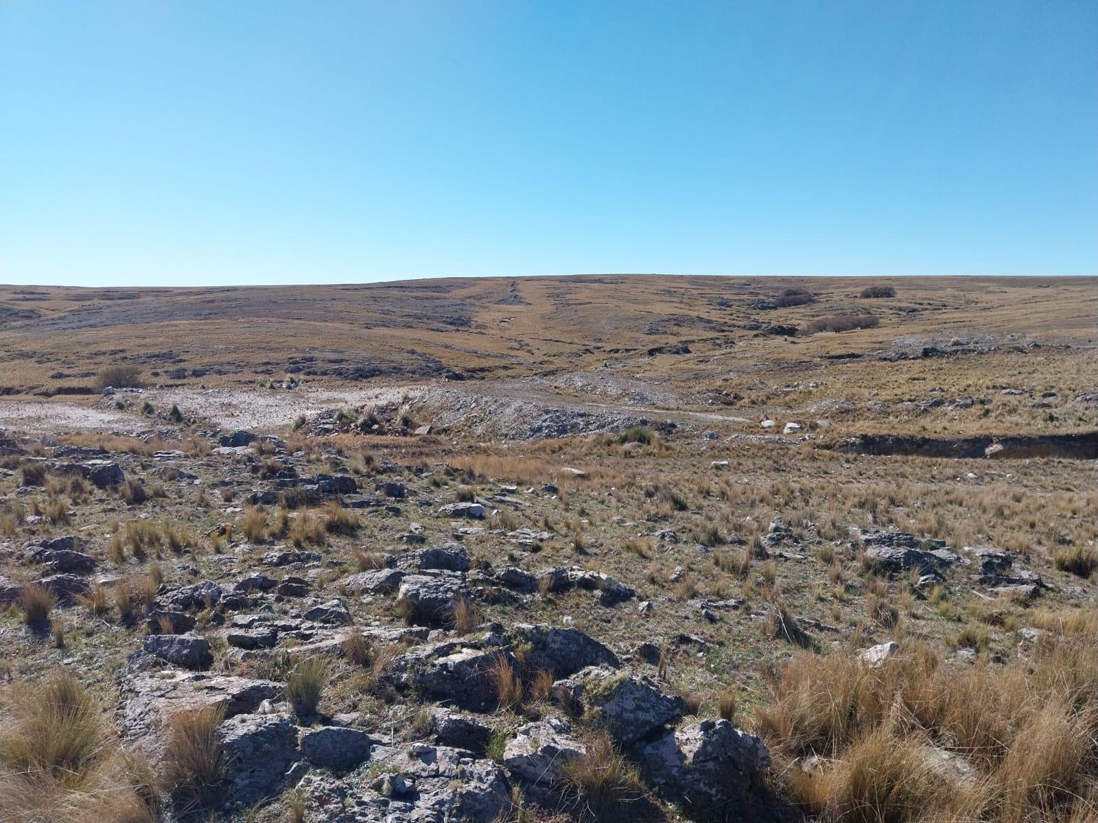 image 37