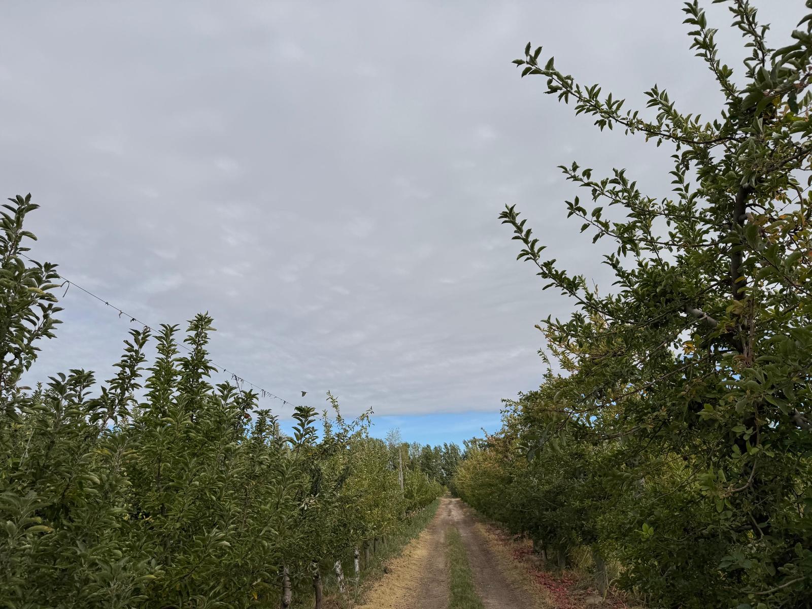 image 17