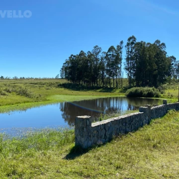 Venta campo 31 hectáreas - José Ignacio