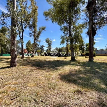 Lote en venta en Álvarez del Bosque 