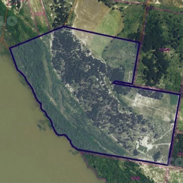 Excelente campo en venta con costa al Río de la Plata.