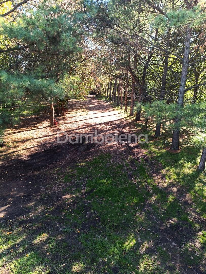image 28