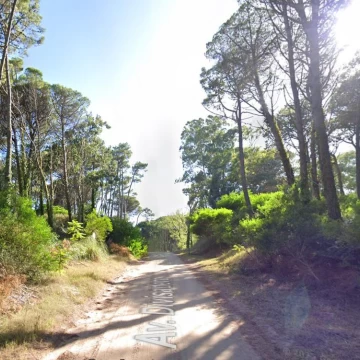 Terreno de 1238m2 en Venta - Cariló