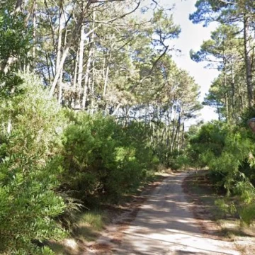 Terreno en Venta de 1412m2 - Cariló