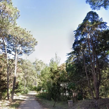 Terreno en  Cariló de 1752m2 sobre Vanguardia