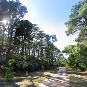 Terreno en Venta sobre Providencia - Carilo 2385m2