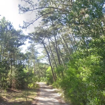 Terreno de 1330m2 en Venta - Cariló