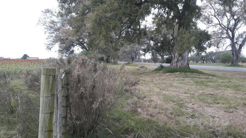 image 16