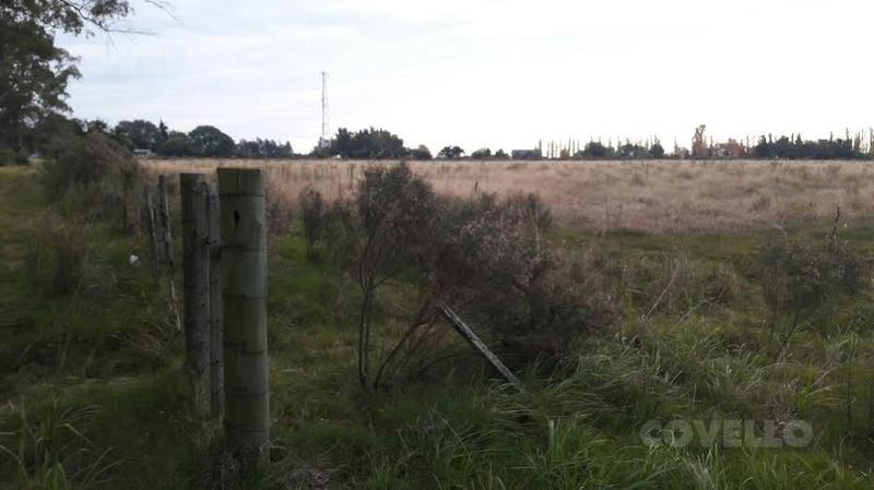 image 17