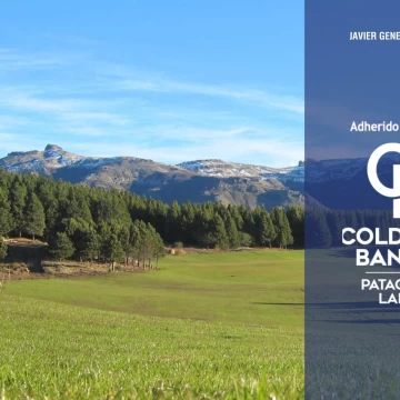 VENTA Lote/Terreno 2.950,82m² D11 B° El Desafío San Martin De Los Andes