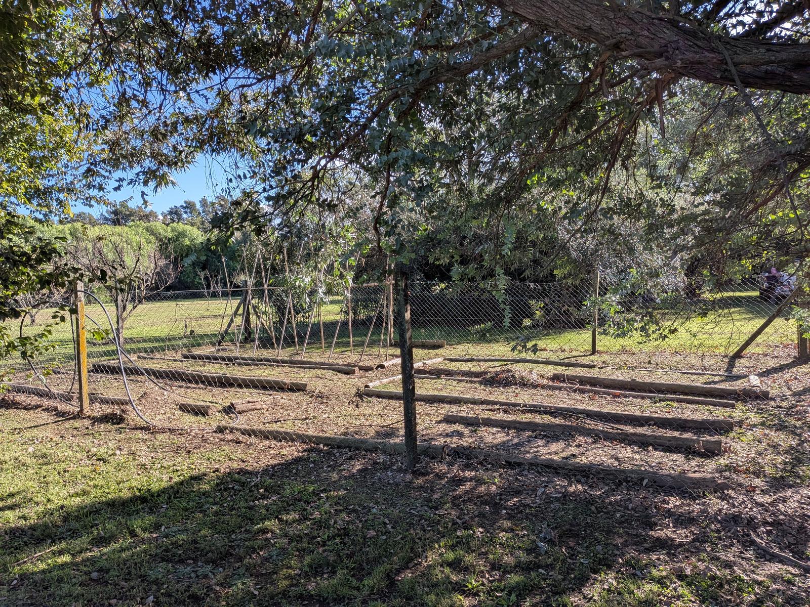 image 13