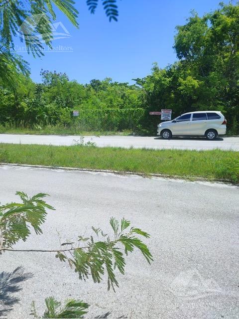 image 17