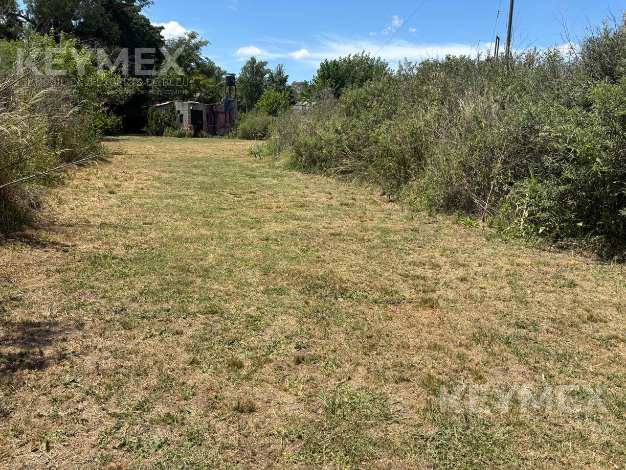 image 14