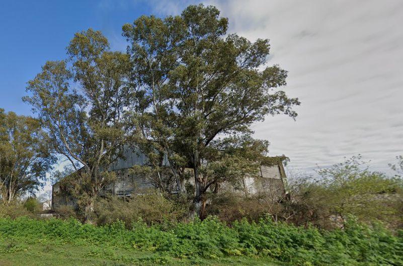 image 6