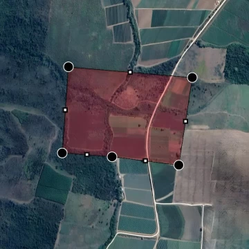 Campo en  venta en Colonia Santa Rosa