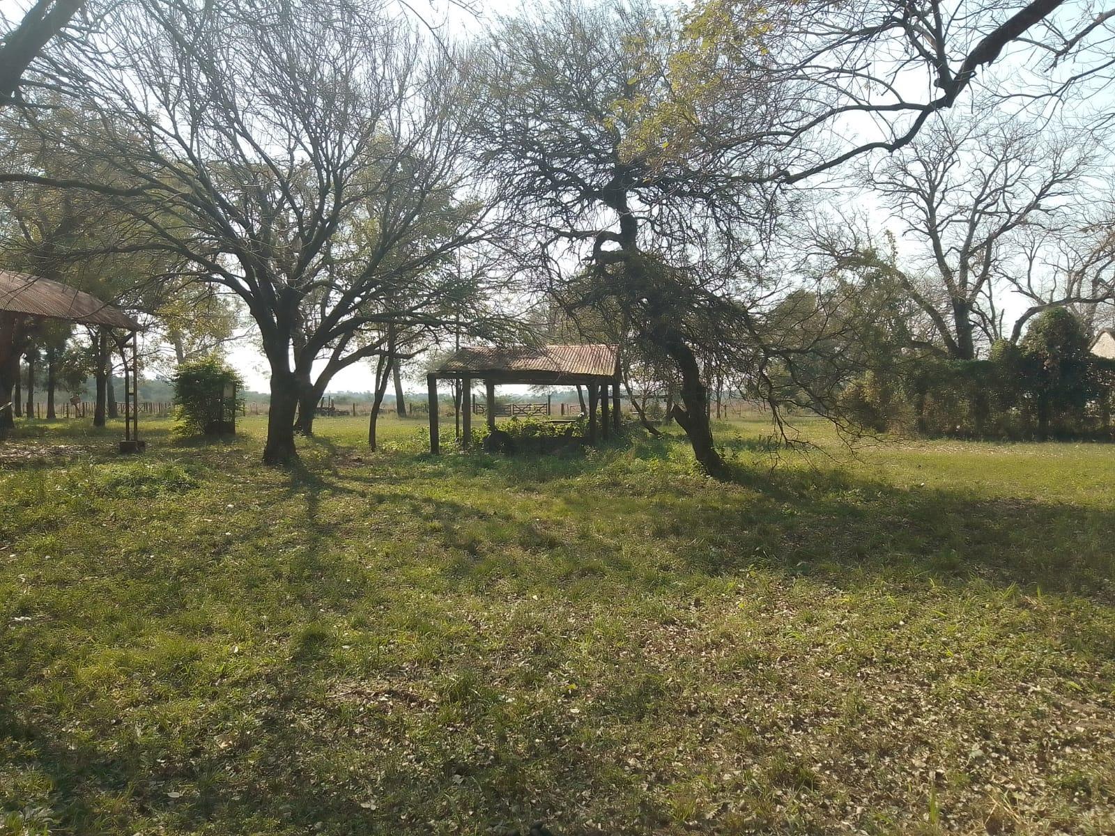 image 18