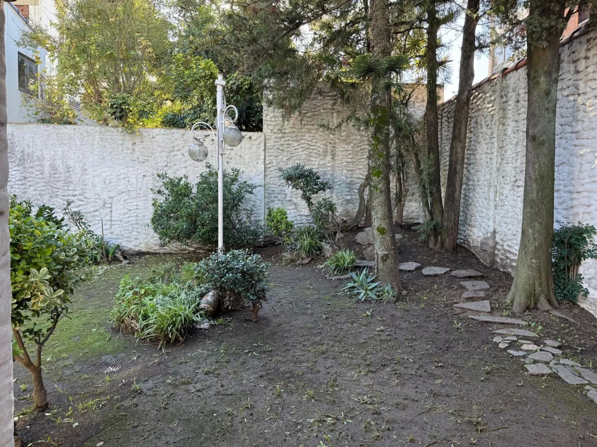image 23