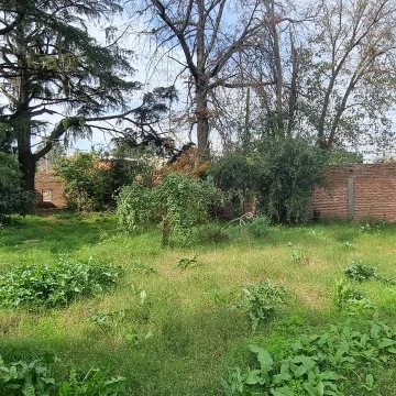 Hermoso Terreno en Paso Del Rey con perimetro cerrado
