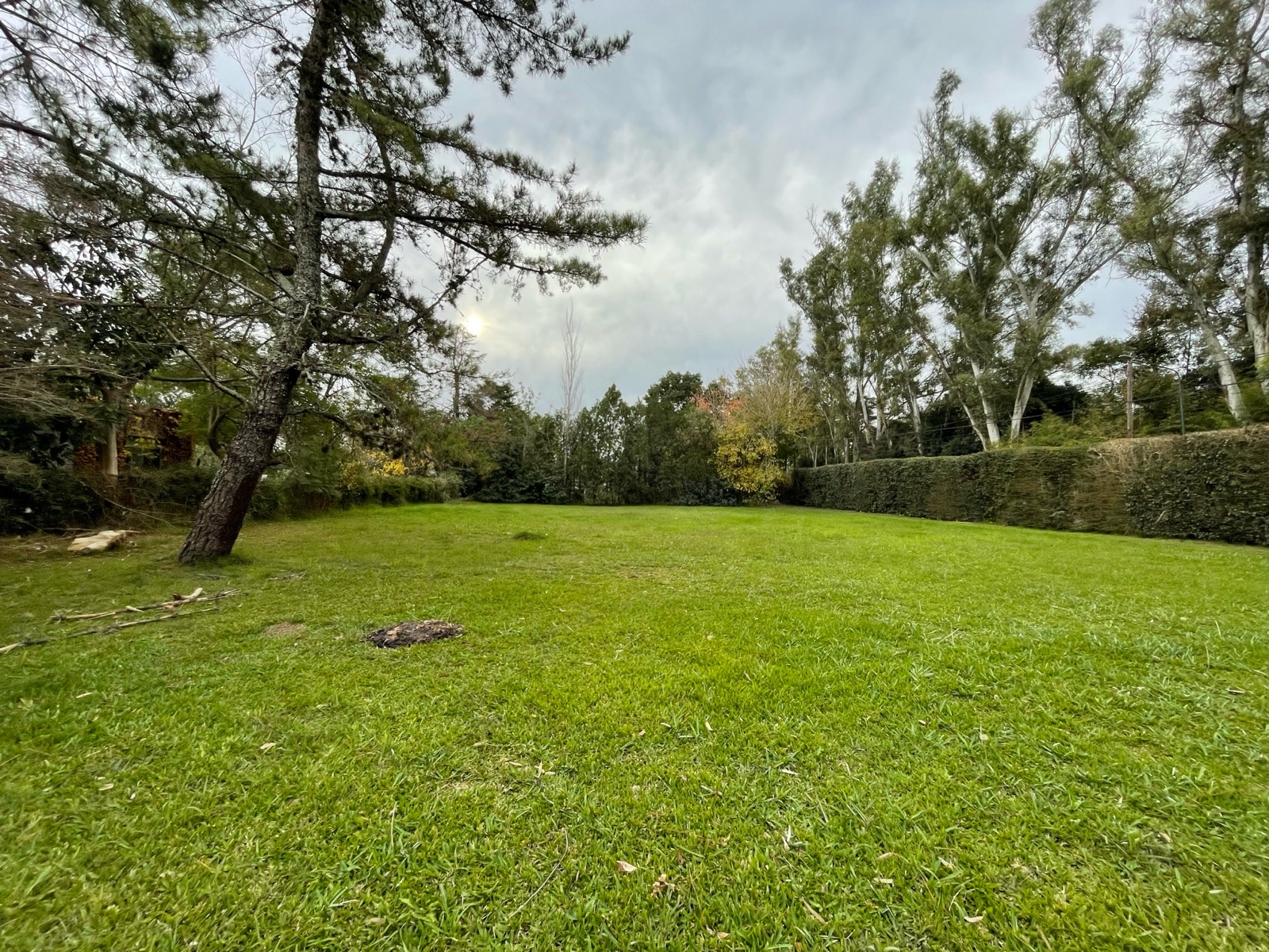 Terreno