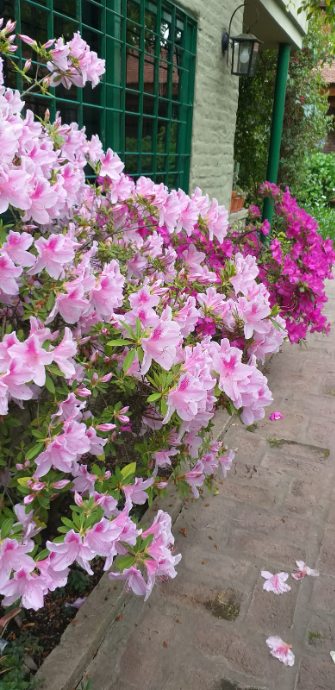 image 17