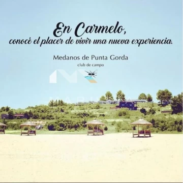 Terreno Lote  en Venta en Punta Gorda, Carmelo, Colonia