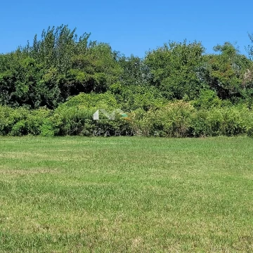 Terreno Lote  en Venta en Colonia Estrella, Carmelo, Colonia
